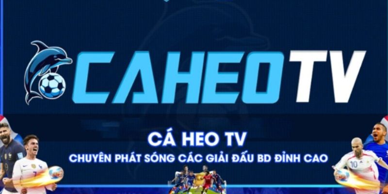 Bóng đá trực tiếp hàng đầu